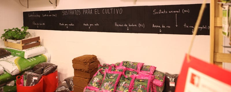 germinando