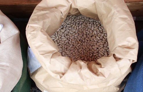 agroecología