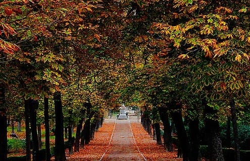 app retiro