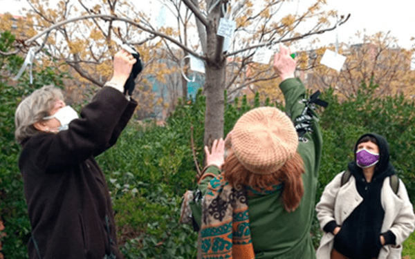 actividad 2 actividad 2