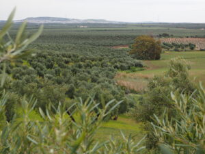P4040092