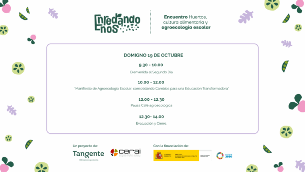 Programa definitivo enredandonos 1