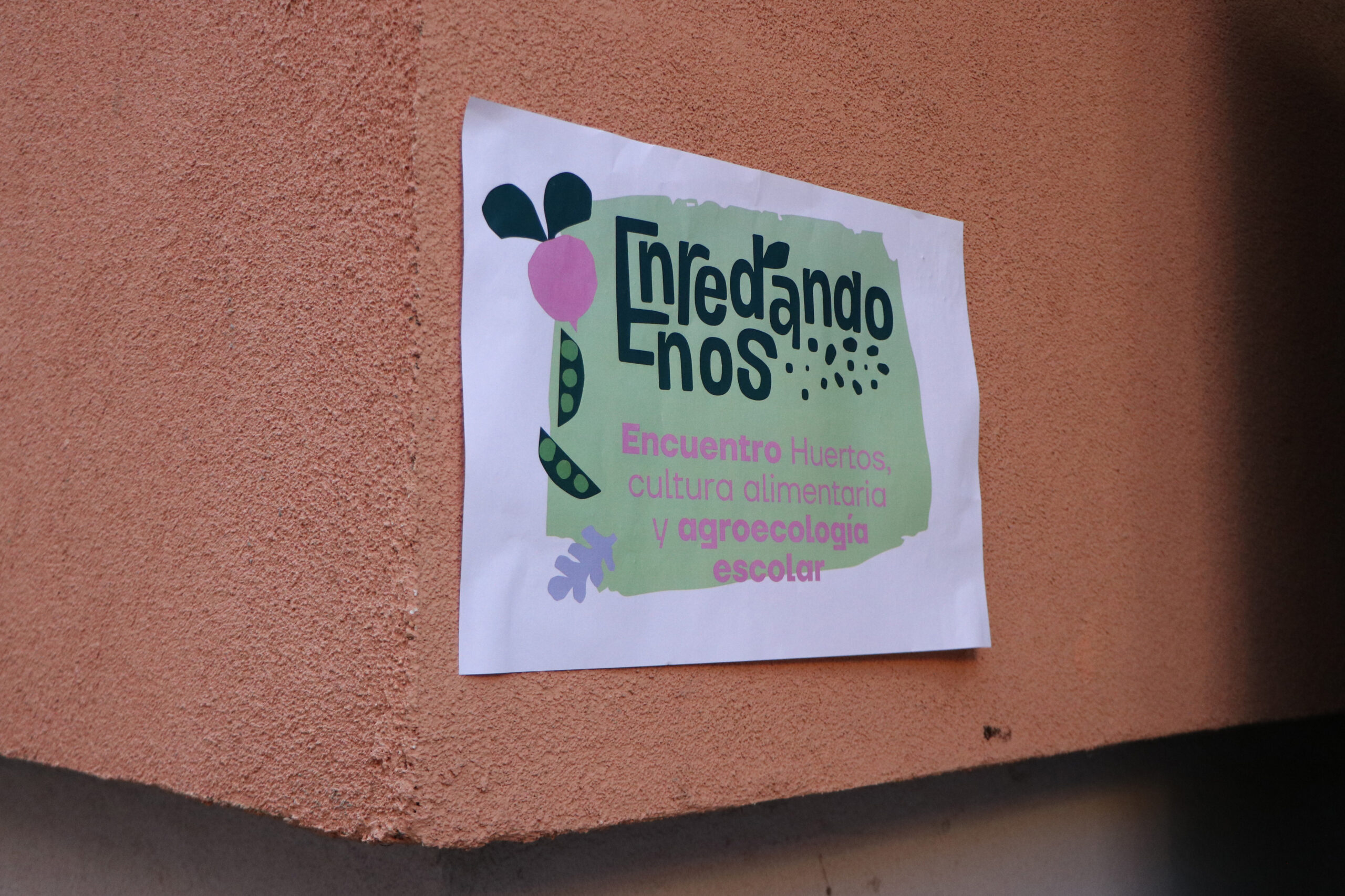 Diagnostico Huertos Escolares Enredandonos Infografia resultados diagnostico estatal huertos escolares cultura alimentaria 2025