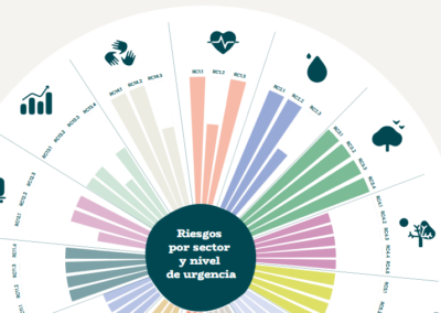 Diseño y maquetación de la Evaluación de Riesgos e Impactos derivados del Cambio Climático en España (ERICC-2025)