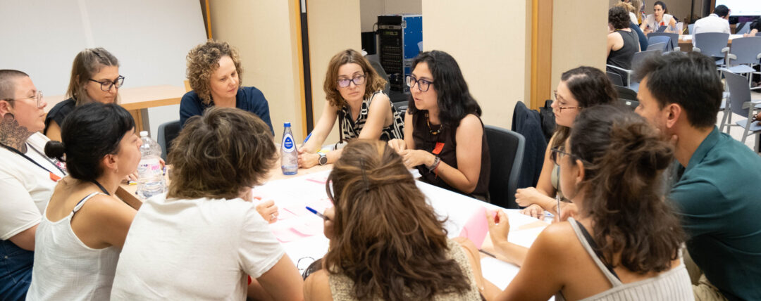 Plataforma VIDAS II: asistencia técnica para el desarrollo de la segunda etapa